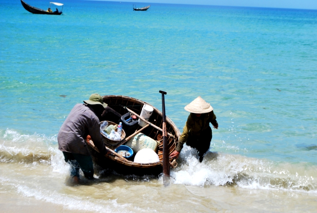 cá chuồn - Ảnh 9.