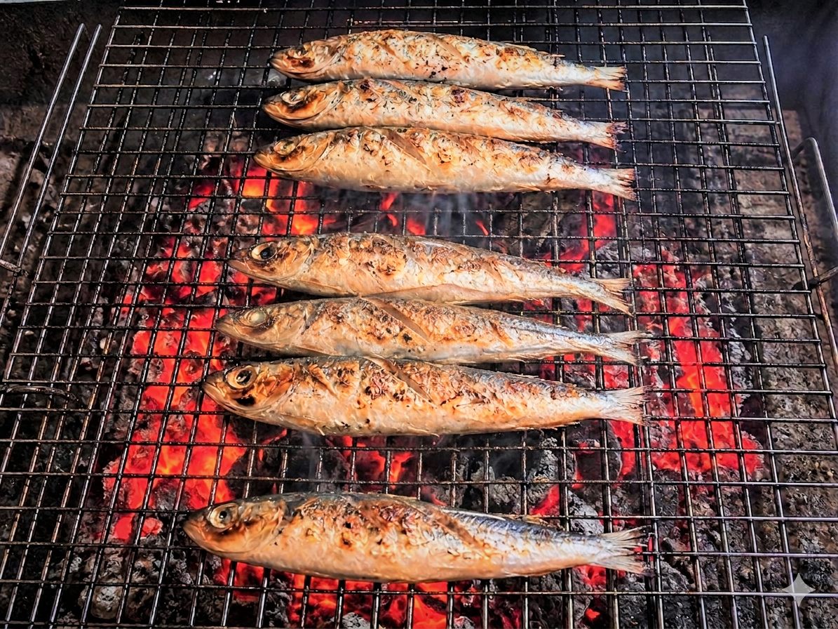 cá chuồn - Ảnh 1.