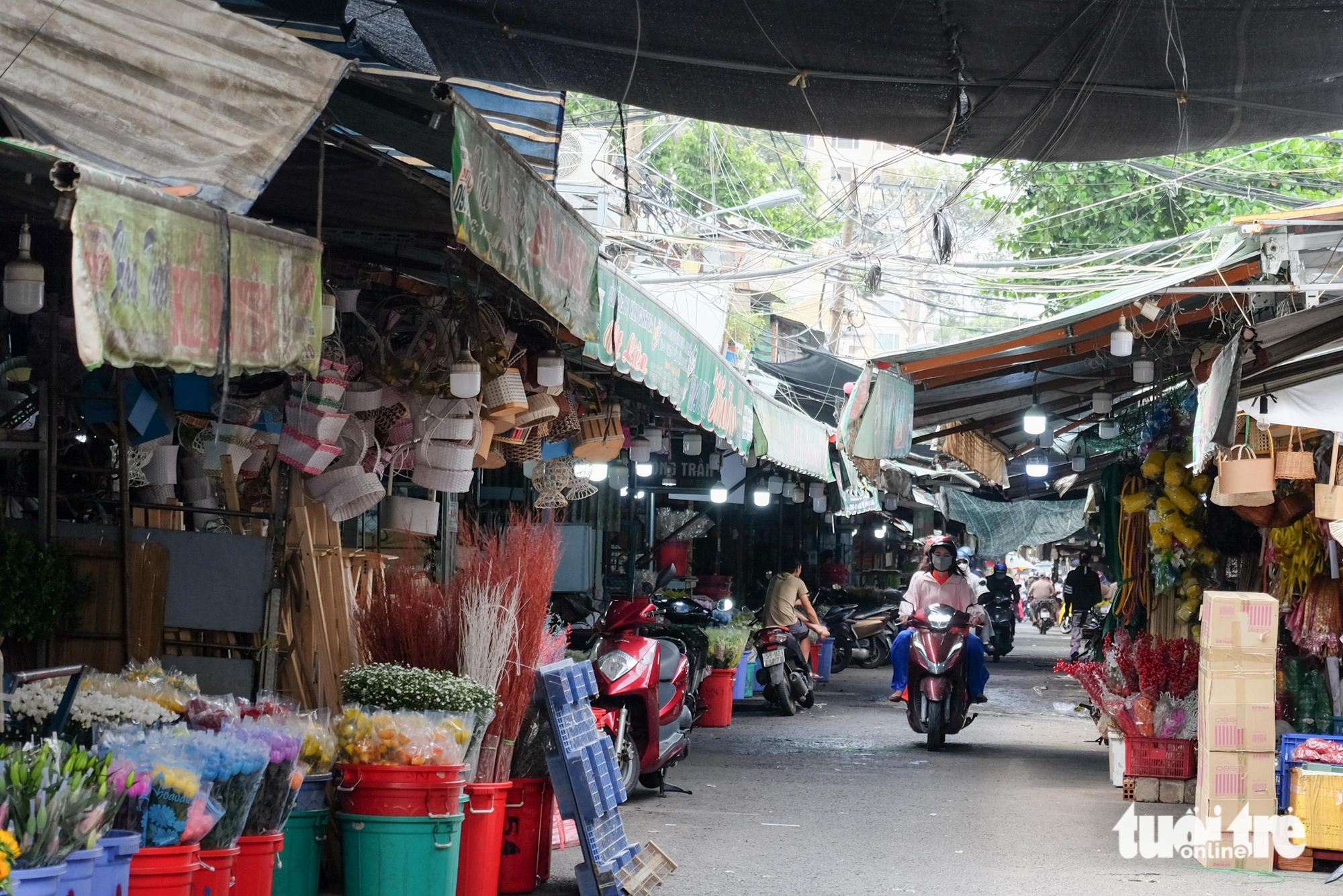 trần bình trọng - Ảnh 1.
