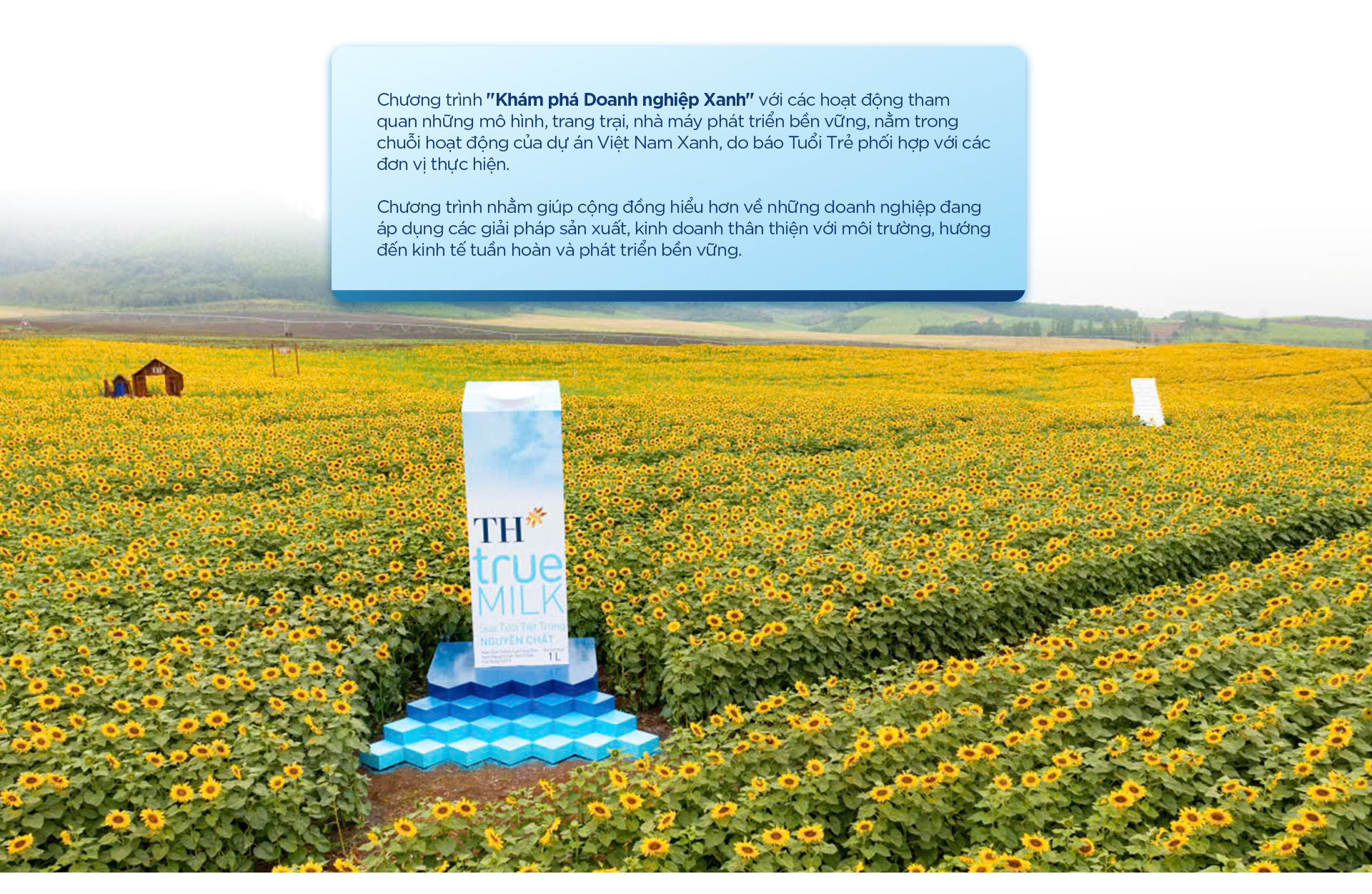 Từ đồng cỏ đến ly sữa: hành trình 12 bước của TH true MILK - Ảnh 16.