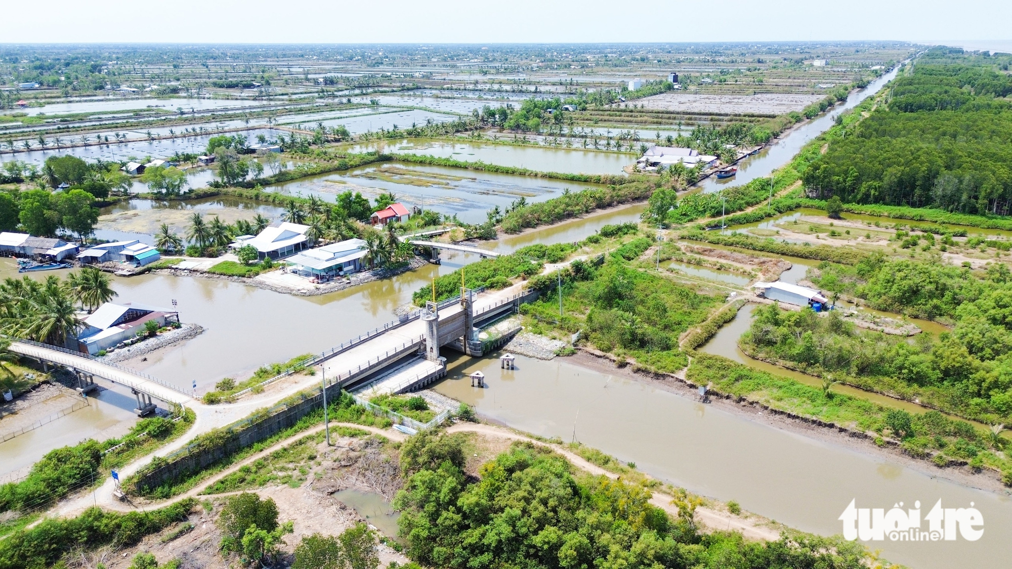 Đê biển Tây - Ảnh 5.