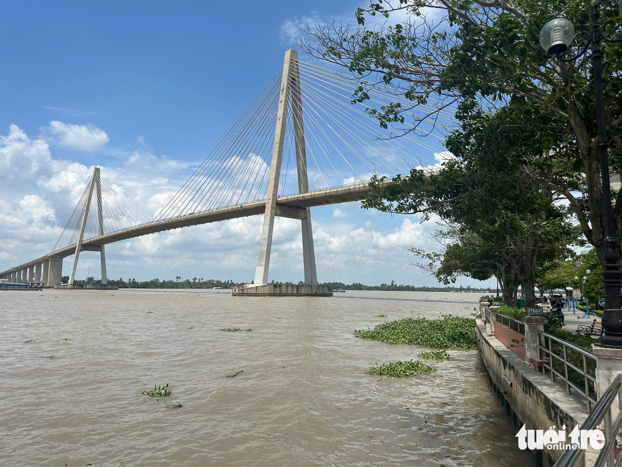 Phát hiện thi thể người phụ nữ nằm chết dưới mố cầu Rạch Miễu - Ảnh 1.