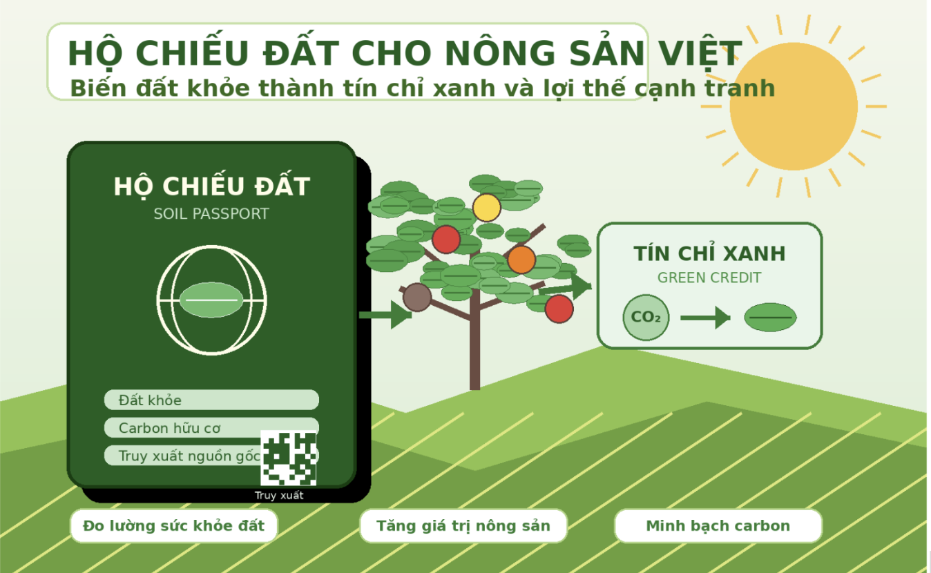 đất - Ảnh 2.