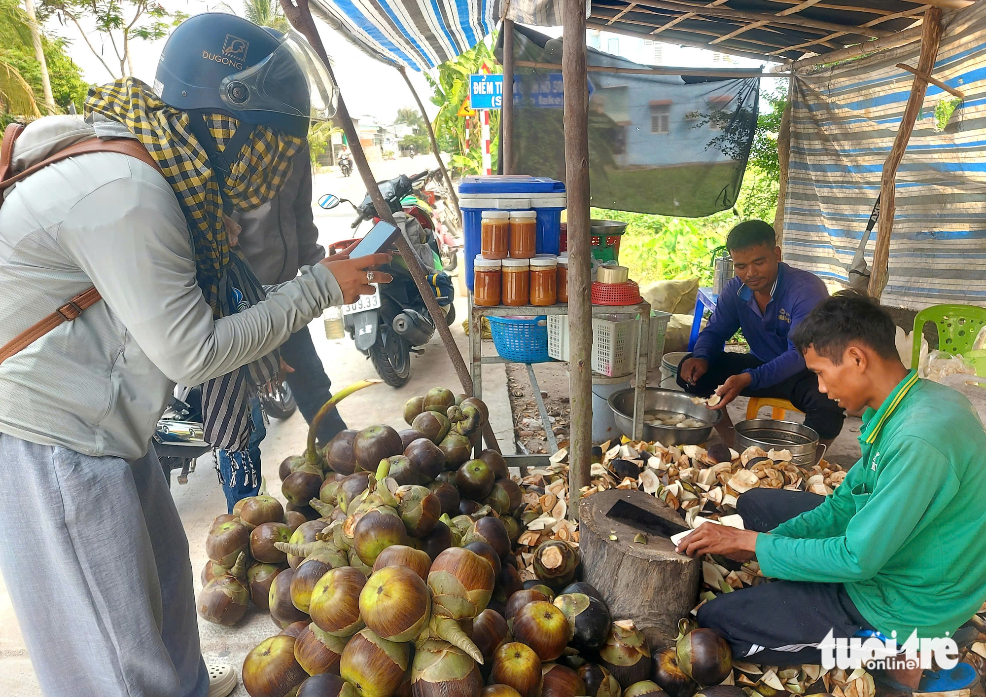 Thốt nốt - Ảnh 1.