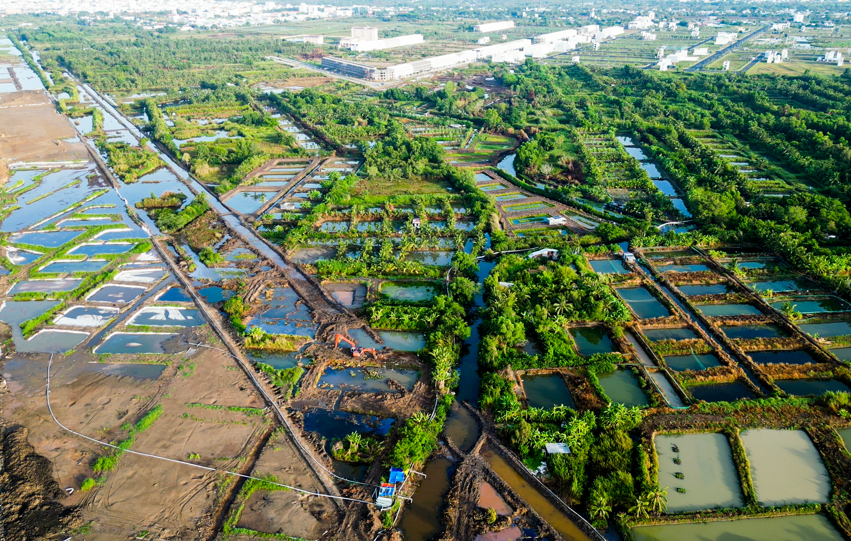 Tỉnh Cà Mau yêu cầu khắc phục việc nhiễm mặn dẫn đến cá chết quanh dự án mở rộng sân bay - Ảnh 2.