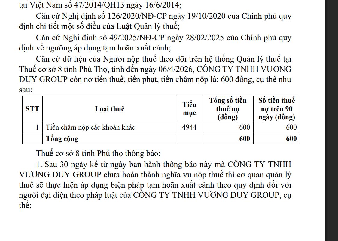 nợ thuế - Ảnh 1.