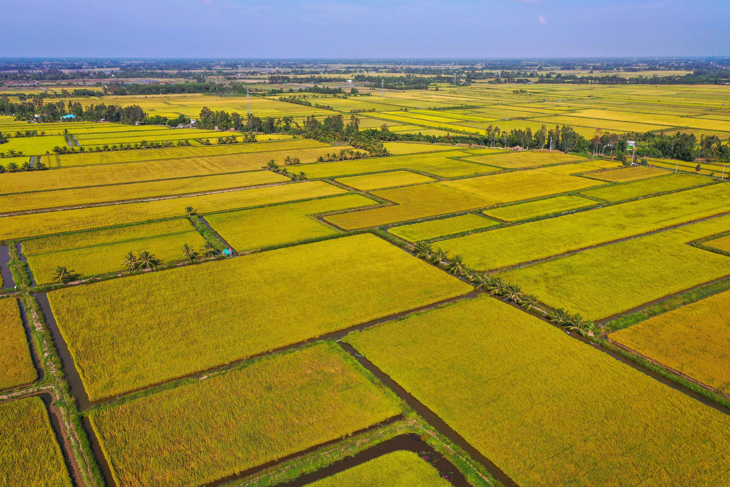 Nông nghiệp Việt Nam trước ngã rẽ mới - Ảnh 1.