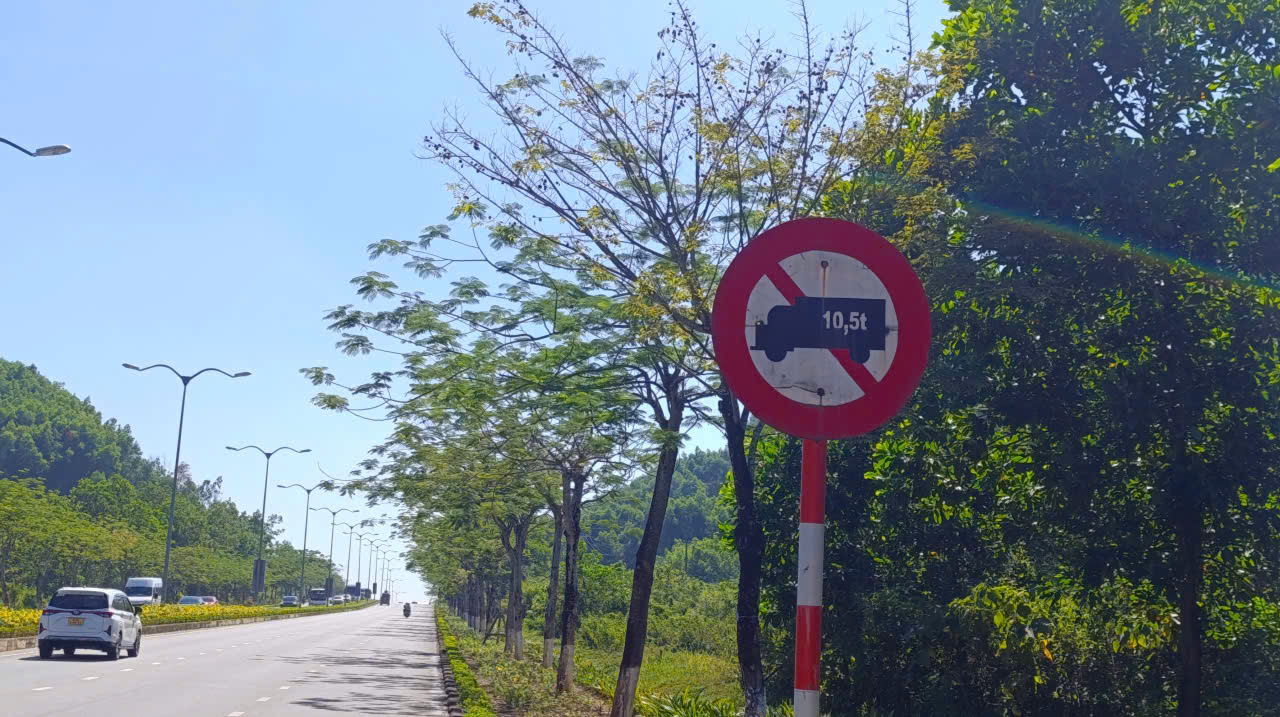 Đà Nẵng - Ảnh 1.