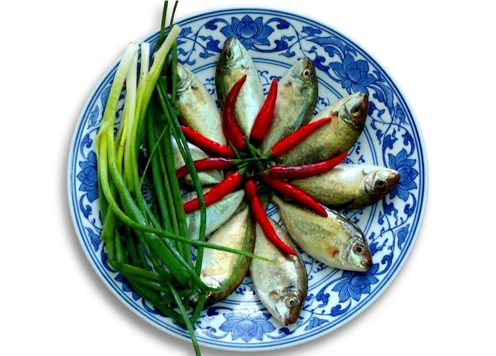 cá kình - Ảnh 7.