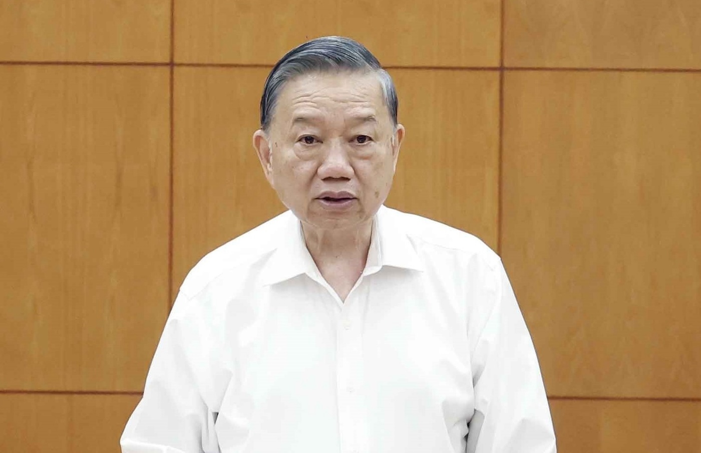 Tổng Bí thư, Chủ tịch nước - Ảnh 1.