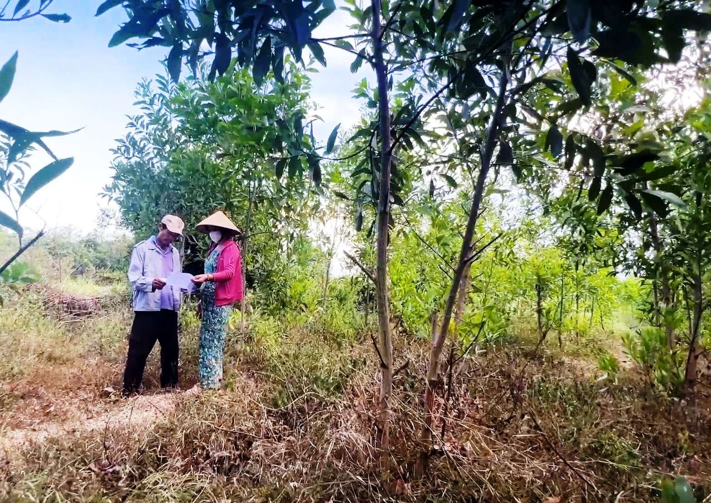 thu hồi đất - Ảnh 1.