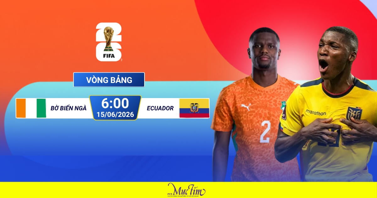 Đội hình ra sân Bờ Biển Ngà đấu Ecuador: Moises Caicedo đá chính - Ảnh 1. Đội hình ra sân Bờ Biển Ngà đấu Ecuador: Moises Caicedo đá chính - Ảnh 1.