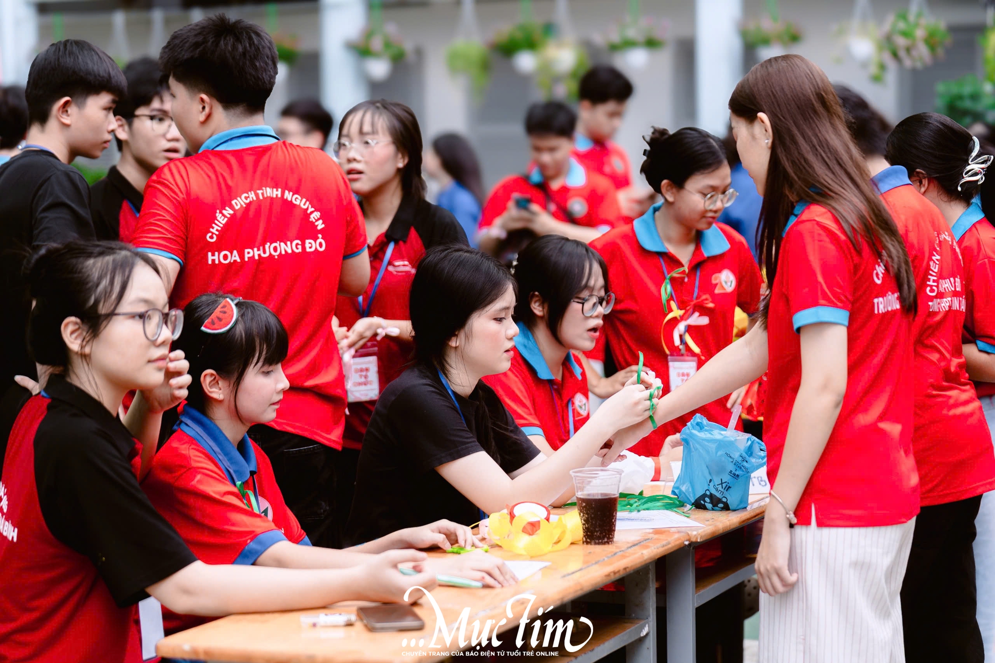 Rực rỡ sắc hè cùng chiến sĩ Hoa phượng đỏ tại Trường THPT Nguyễn Thái Bình - Ảnh 2.