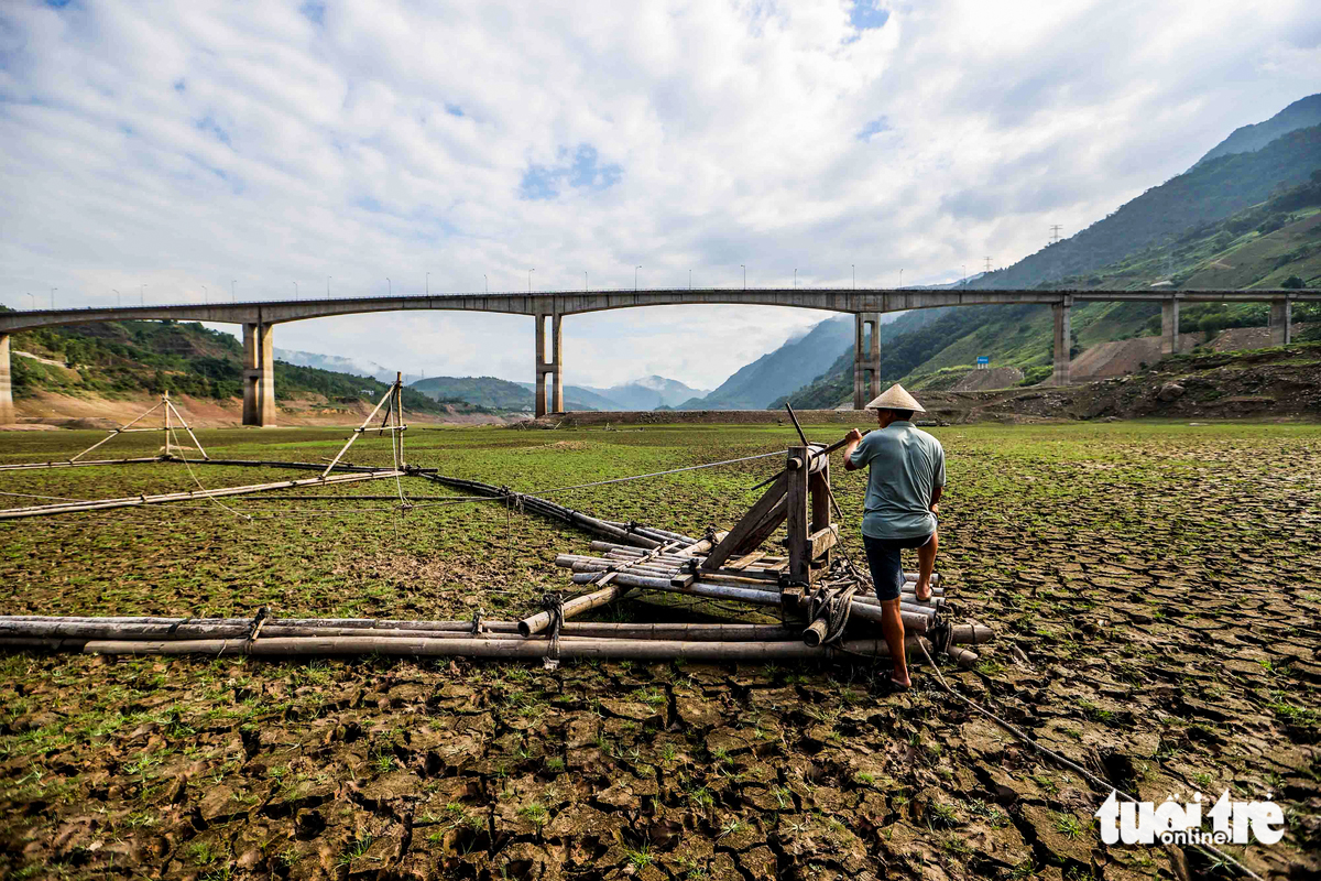 El Nino đã đạt ngưỡng rất mạnh và còn tiếp tục mạnh lên - Ảnh 1.