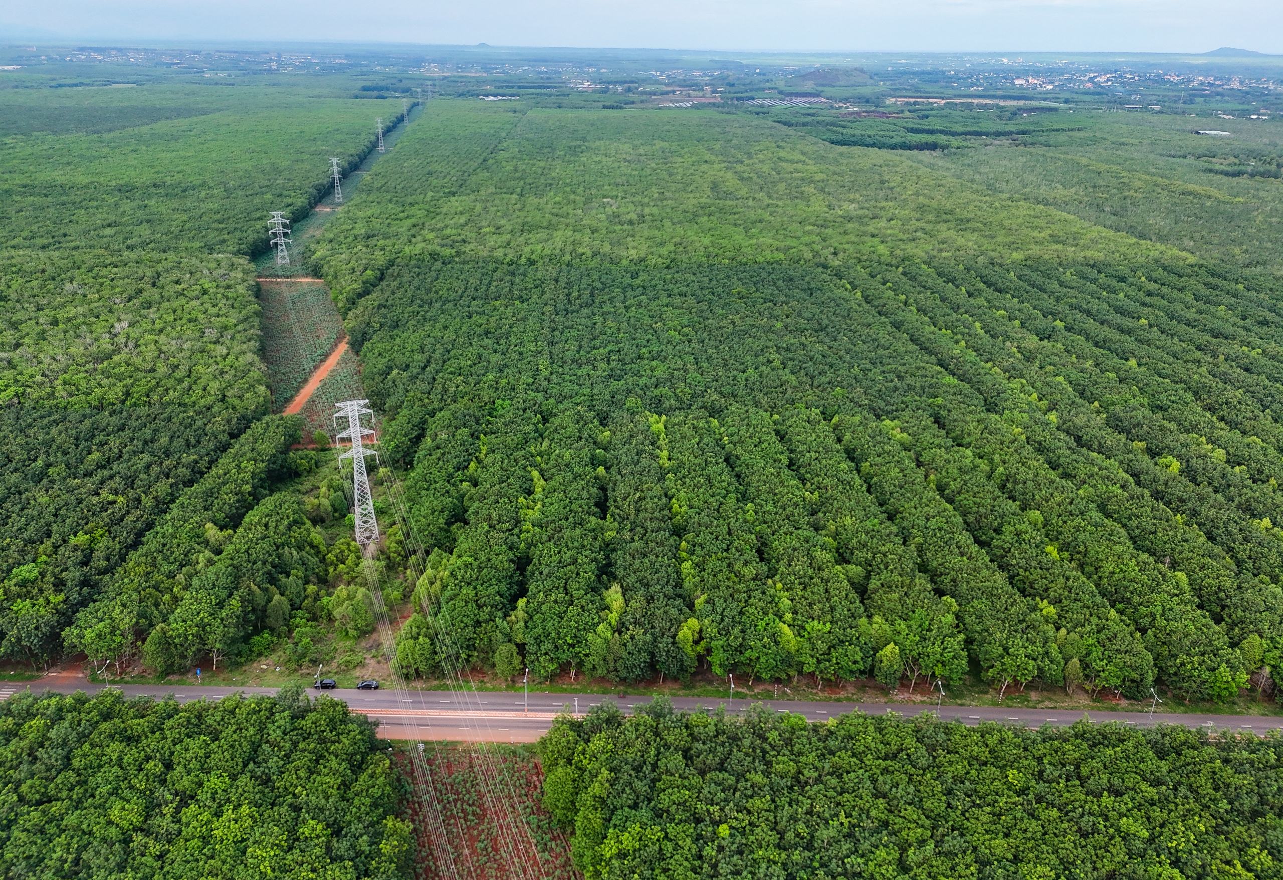 Ngắm phối cảnh, flycam cao tốc Hồ Tràm nối sân bay Long Thành vươn về đô thị biển - Ảnh 14.