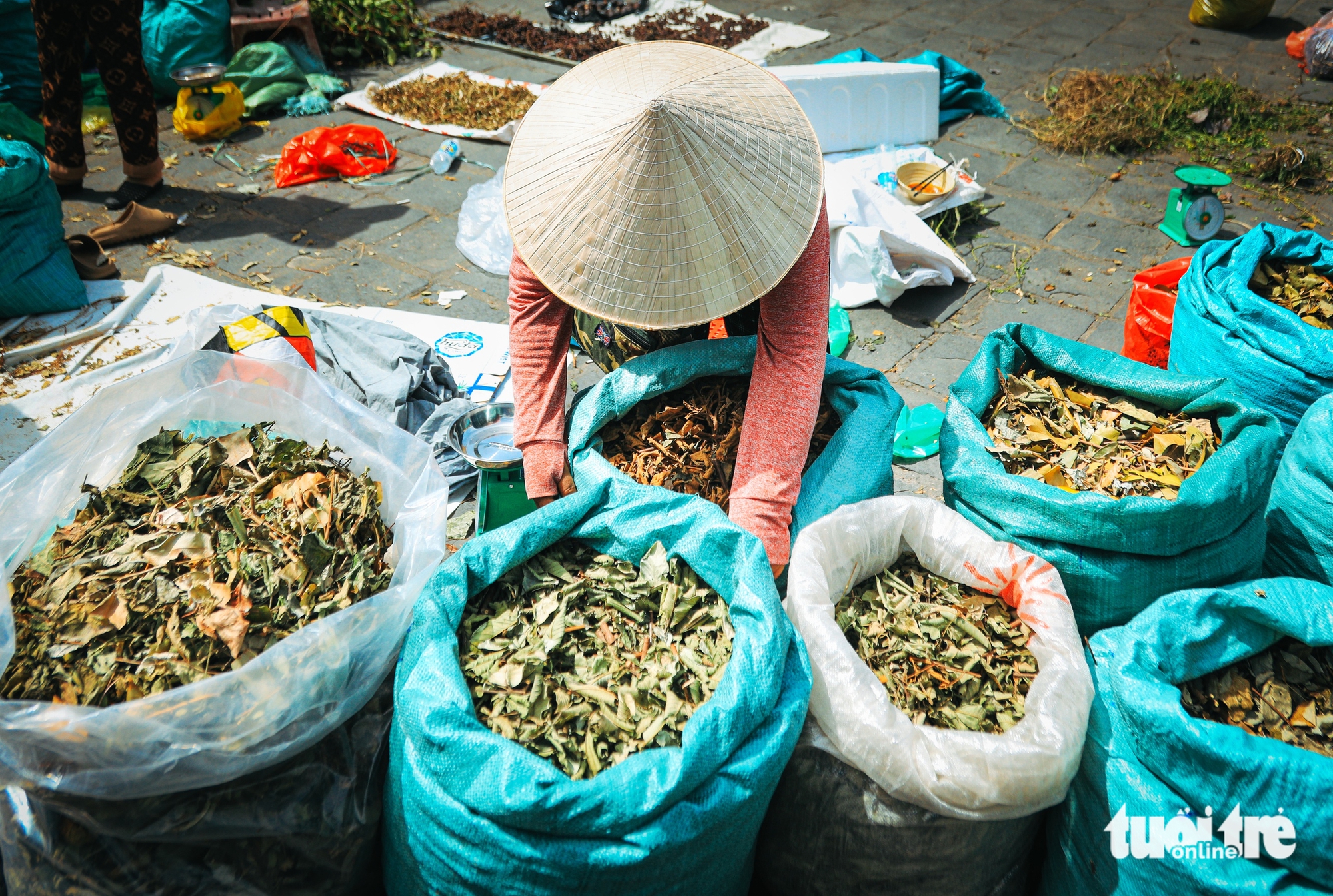 Người phố Hội chi tiền triệu mua 'thần dược' dịp Tết Đoan Ngọ - Ảnh 4. Người phố Hội chi tiền triệu mua 'thần dược' dịp Tết Đoan Ngọ - Ảnh 4.