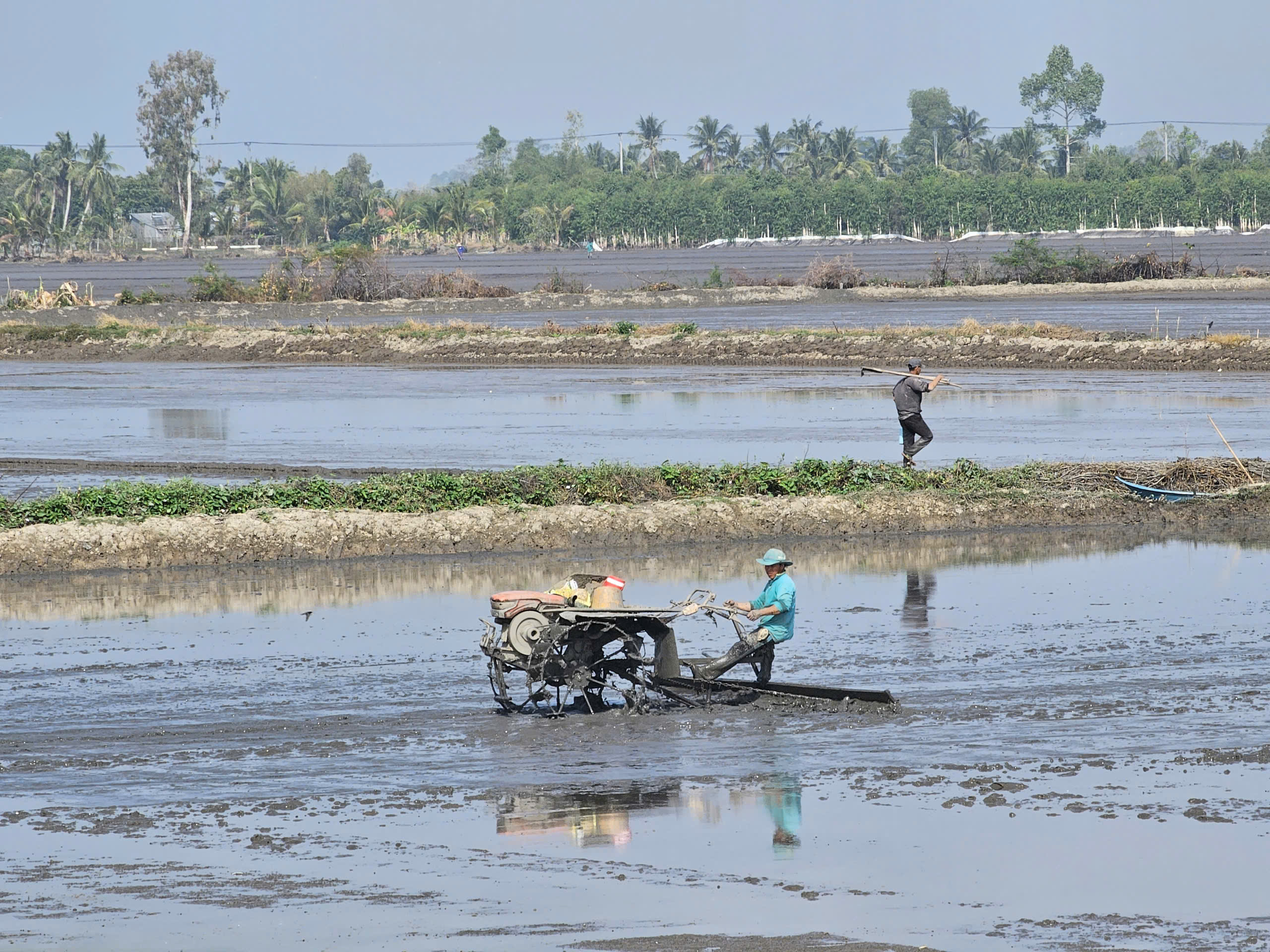 Cần Thơ đề xuất chính sách đặc thù khuyến khích doanh nghiệp đầu tư vào nông nghiệp, nông thôn - Ảnh 1.