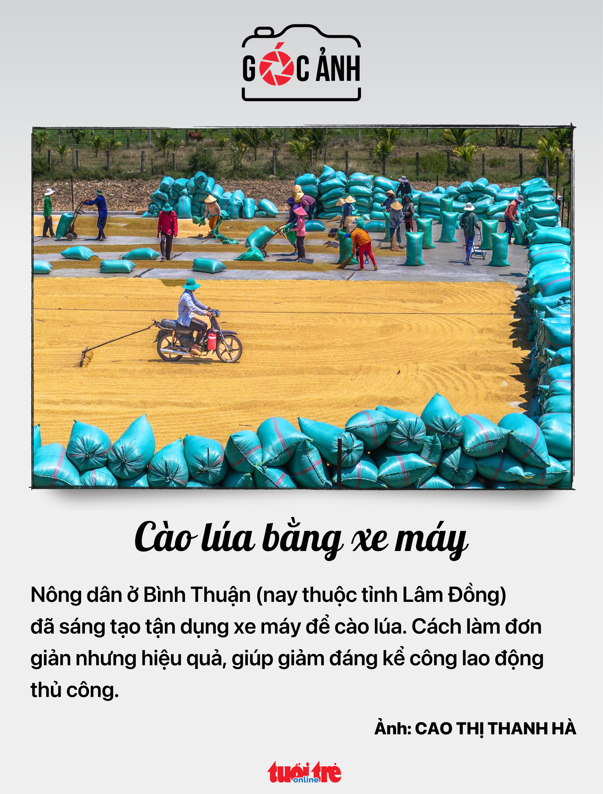 Tin tức sáng 19-6: Trưởng thôn, tổ trưởng dân phố nghỉ việc do sáp nhập được hưởng chế độ tinh giản biên chế - Ảnh 7.