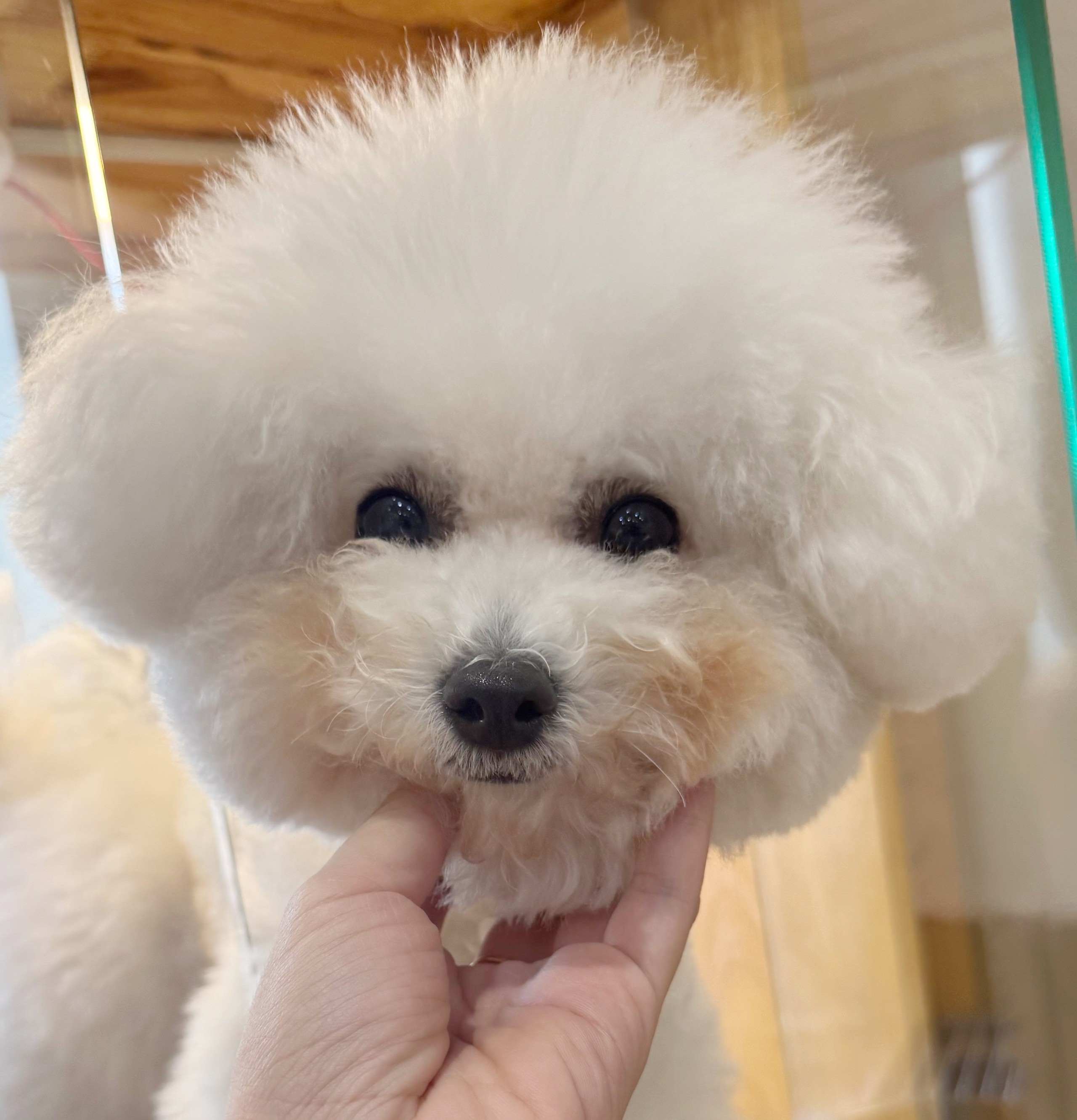 - Ảnh 3. - Ảnh 3.