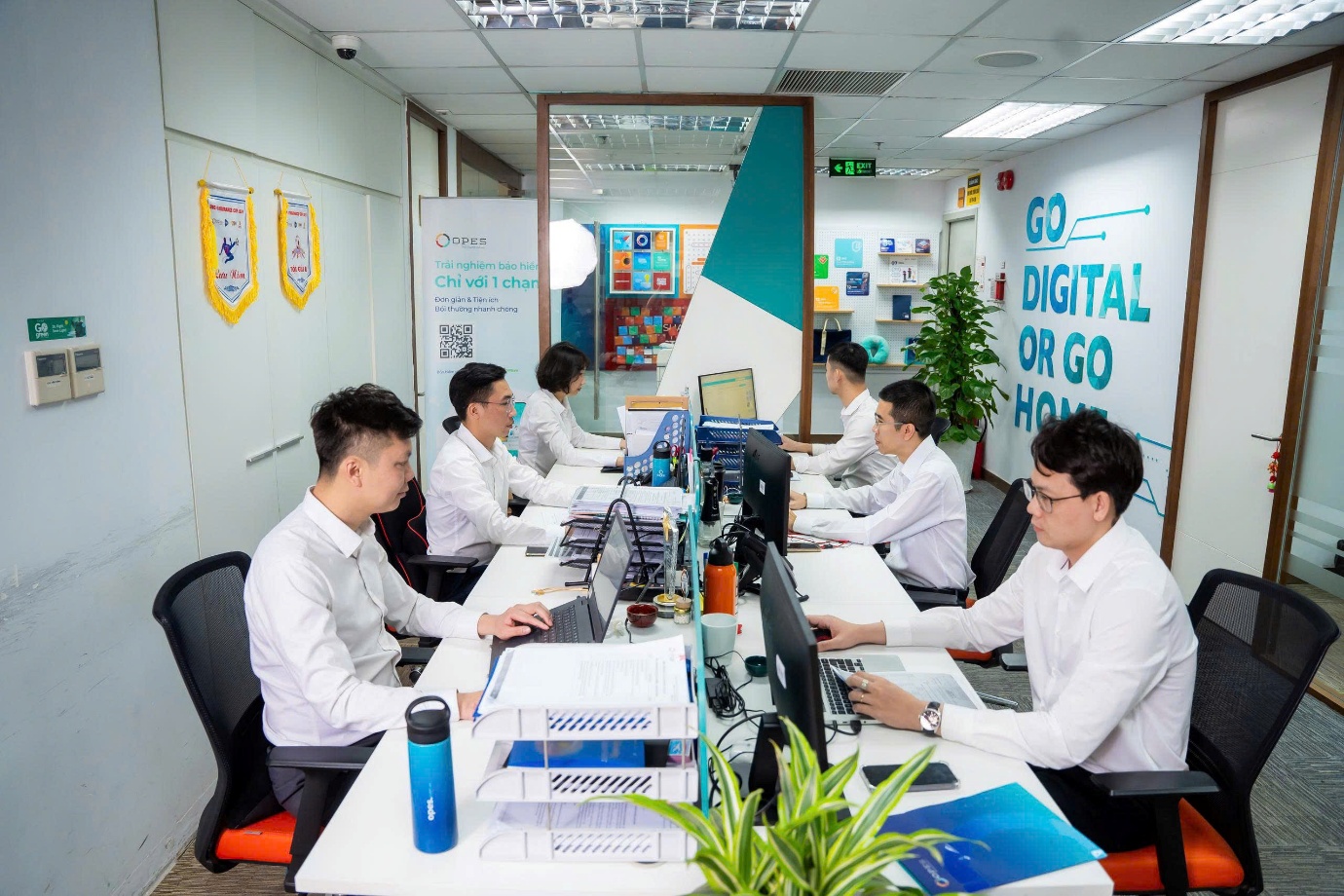 Bảo hiểm OPES - Ảnh 2. Bảo hiểm OPES - Ảnh 2.