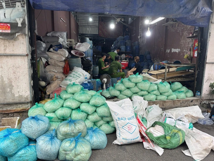 Ho Chi Minh City police arrest 4 for allegedly producing over 1,000 tonnes of bean sprouts with banned chemical - Ảnh 1.