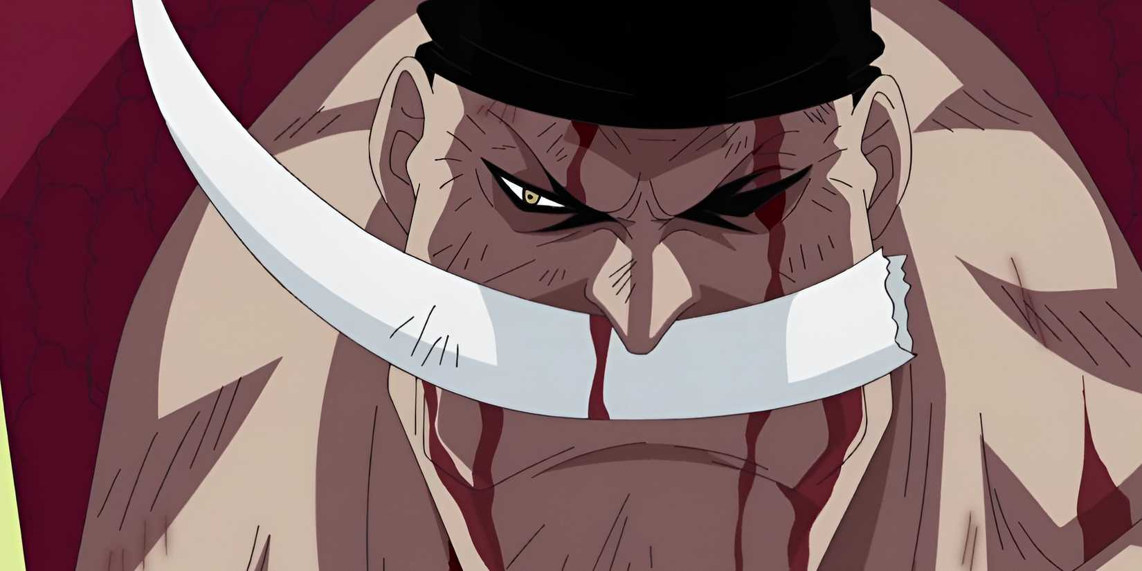 one piece - Ảnh 8.
