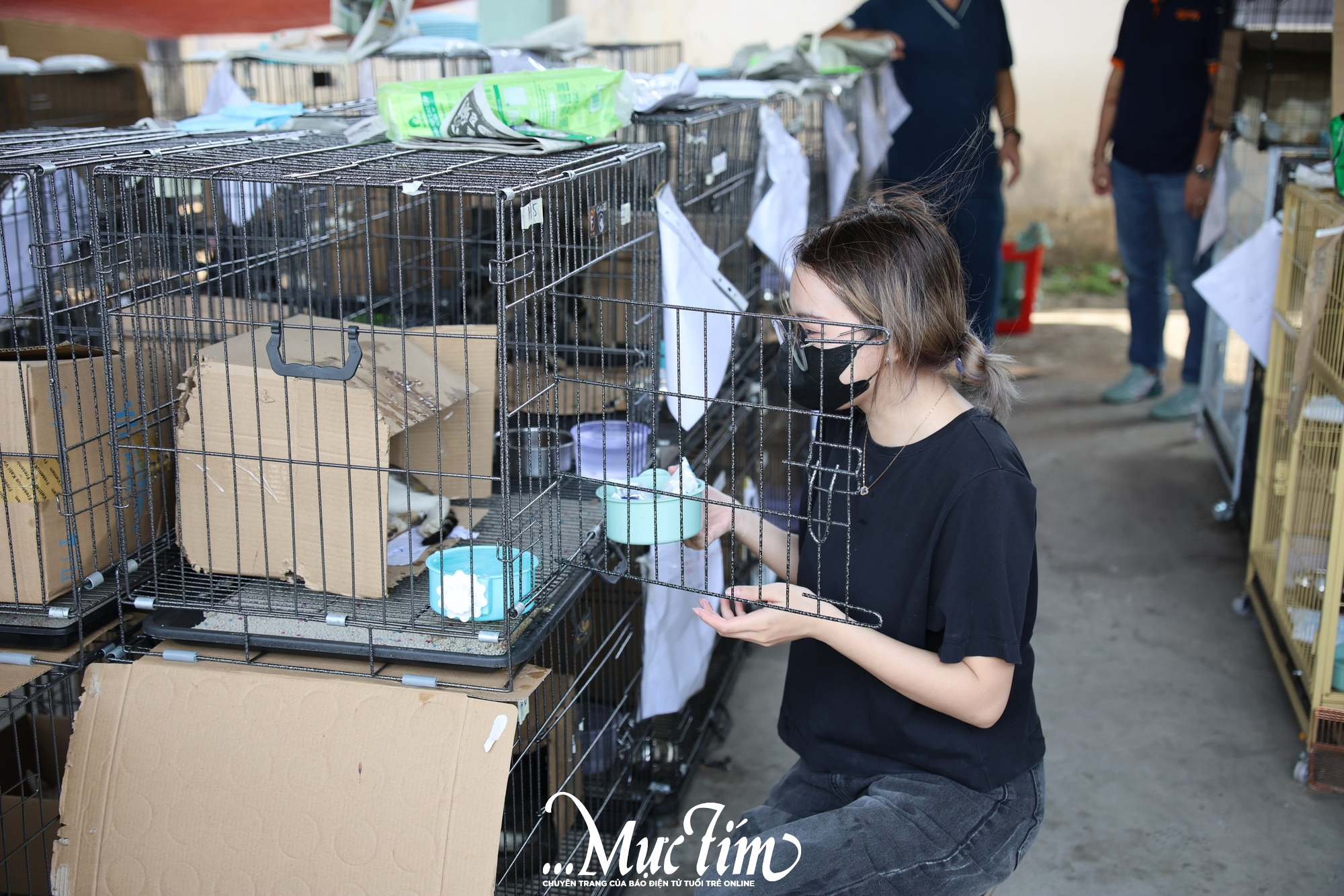 Phía sau hành trình chăm sóc hơn 400 chú mèo được giải cứu- Ảnh 4.