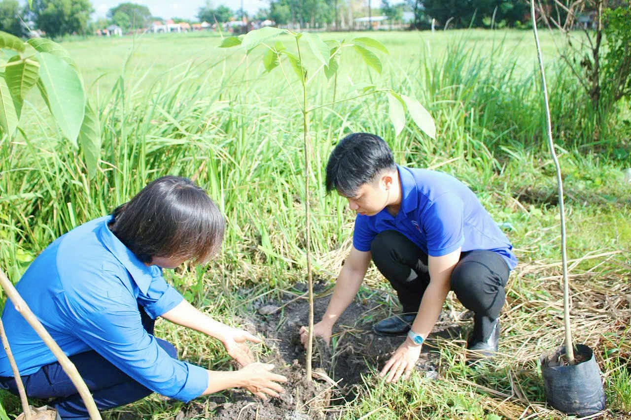 Củ Chi ra quân trồng 400 cây xanh, hưởng ứng phong trào 'Thành phố muôn sắc hoa'  - Ảnh 3.
