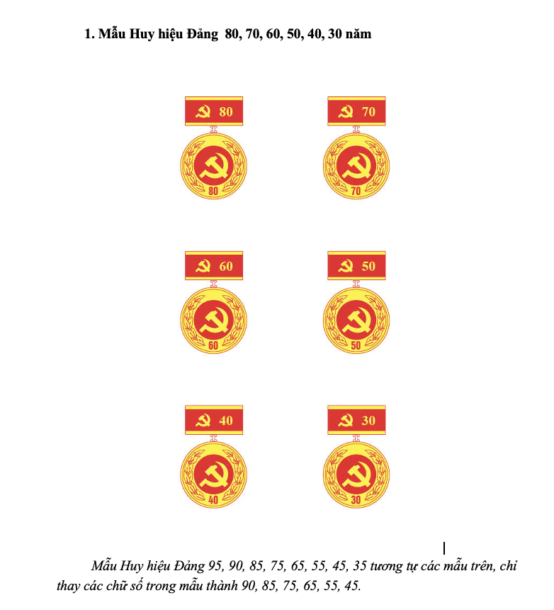 Ban Tổ chức Trung ương hướng dẫn mới về tặng Huy hiệu Đảng - Ảnh 3.