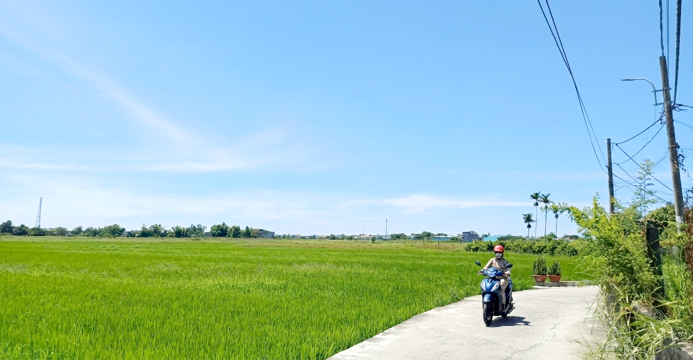 Thanh tra kiến nghị Đà Nẵng làm gì với dự án khu đô thị Phong Nam - Hoà Châu? - Ảnh 1.