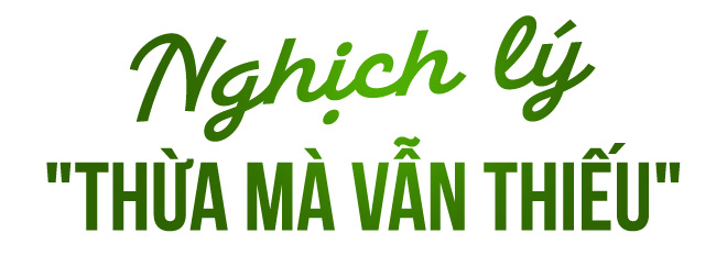 Đầu tư cho dinh dưỡng - Ảnh 1.