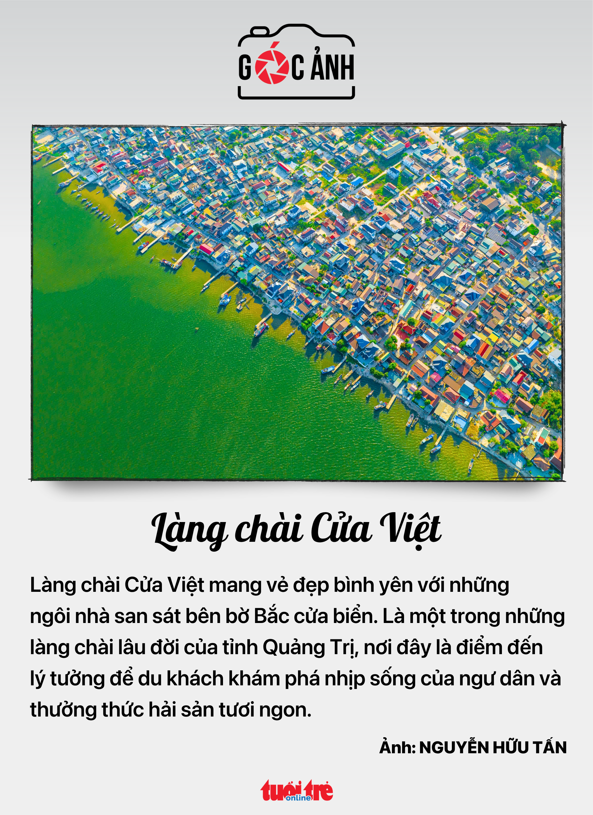 Tin tức sáng 28-6: TP.HCM khánh thành nhiều vườn cây đại đoàn kết mừng 50 năm Thành phố mang tên Bác - Ảnh 6.