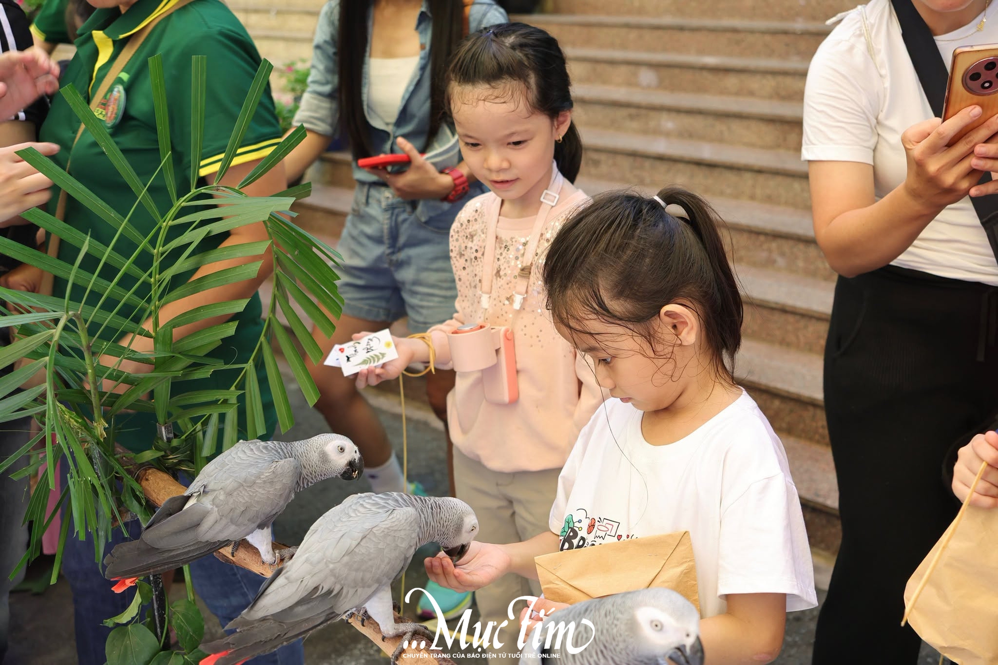 Thảo cầm viên làm “mẹ đỡ đầu” cho gia đình 6 em mèo được cứu hộ- Ảnh 2.