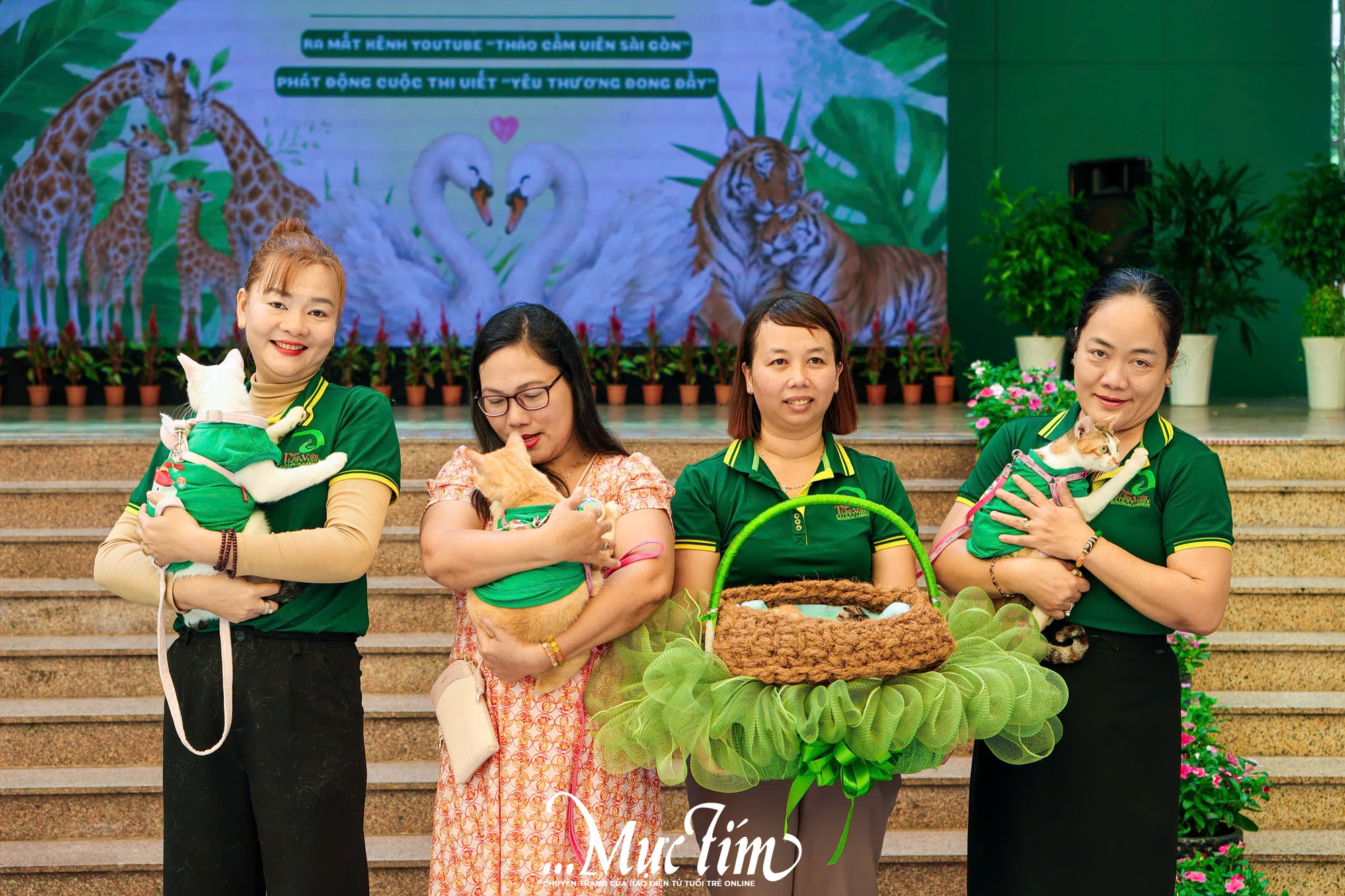 Thảo cầm viên làm “mẹ đỡ đầu” cho gia đình 6 em mèo được cứu hộ- Ảnh 5.