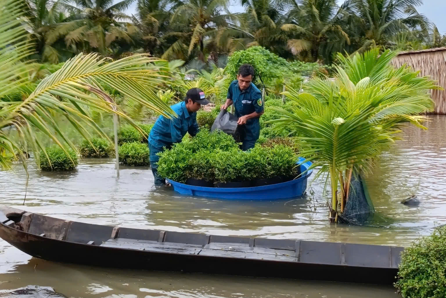 Sa Đéc mời chuyên gia tìm giải pháp chống ngập đô thị do mưa và triều cường - Ảnh 2.