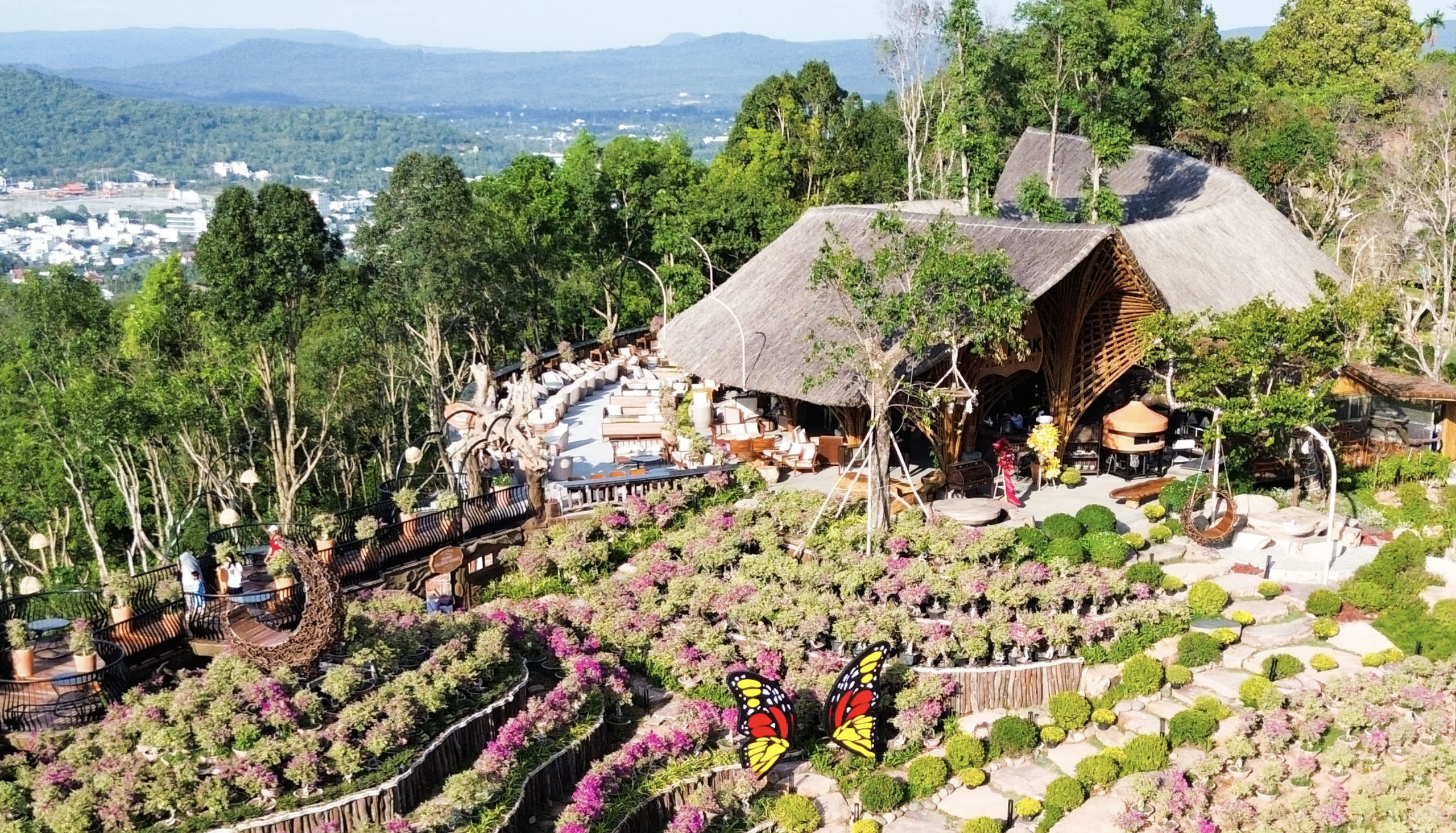 Vietnam’s Phu Quoc demolishes popular The Peak flower garden - Ảnh 3.