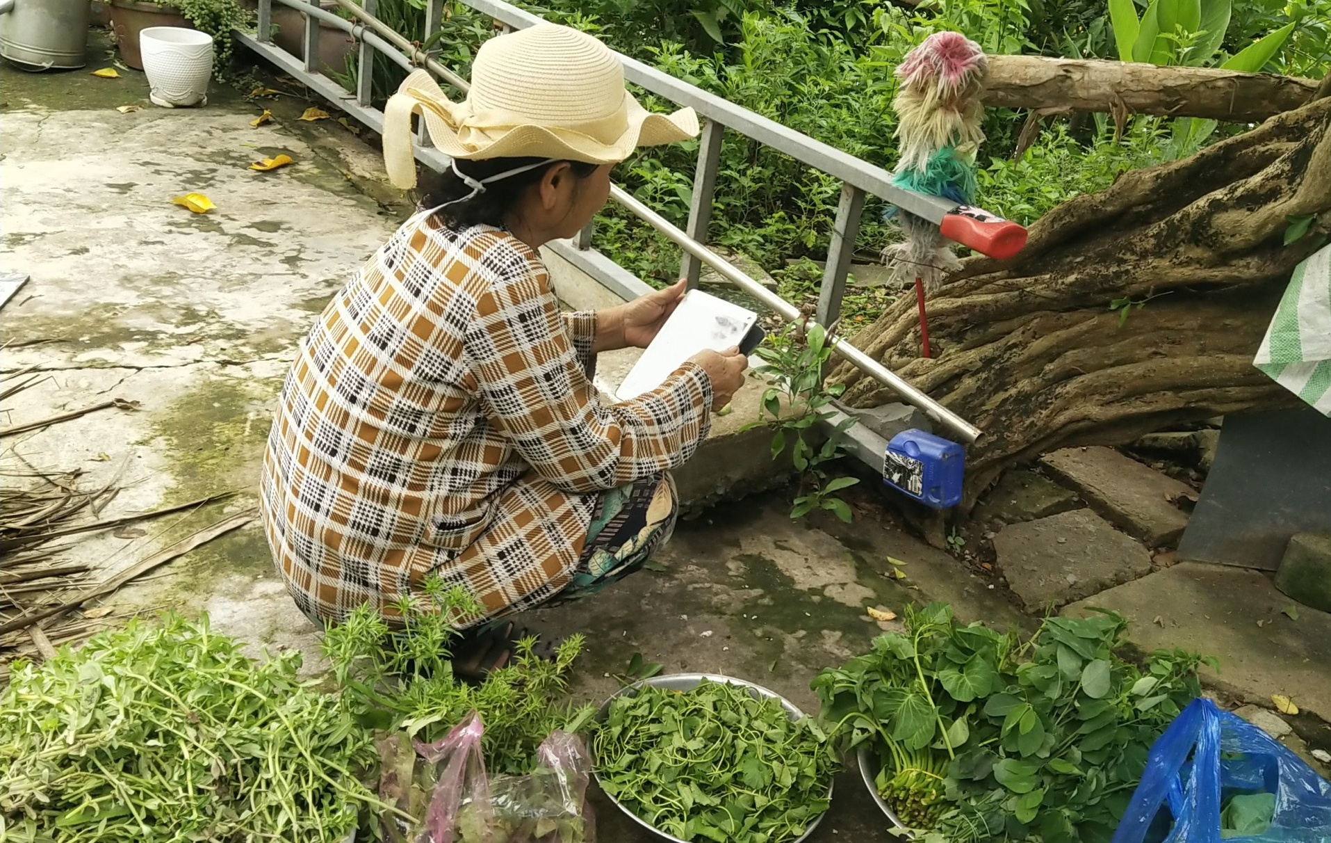 nông nghiệp - Ảnh 2.