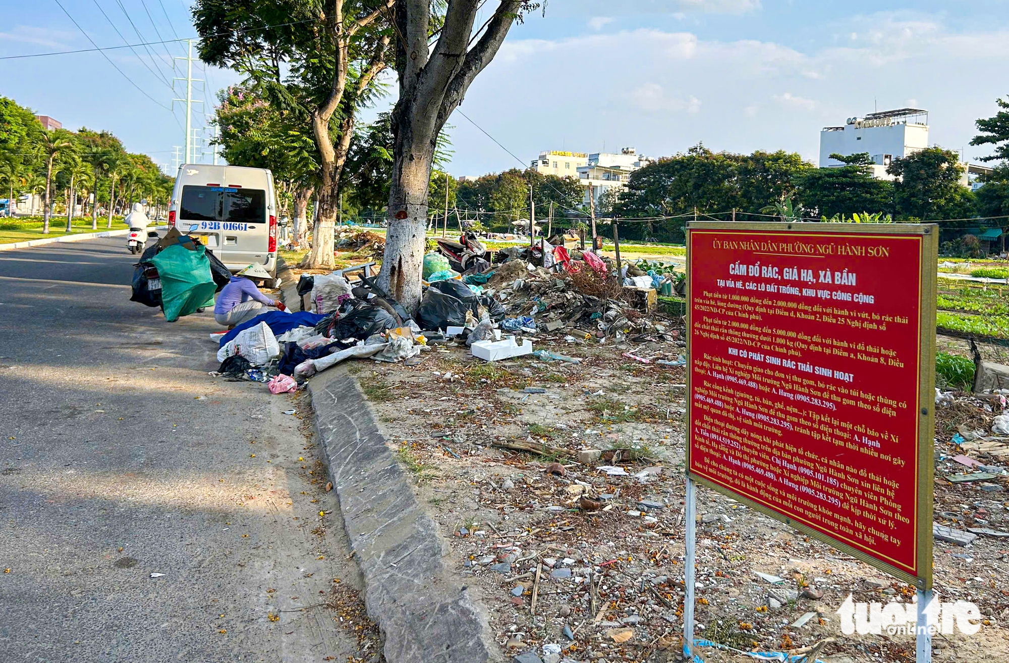 Đà Nẵng - Ảnh 8.