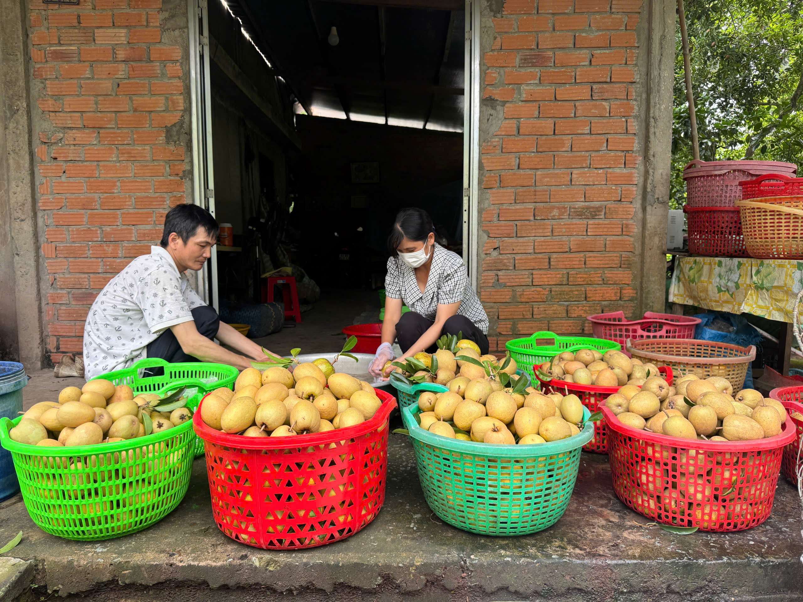 đồng tháp - Ảnh 3.