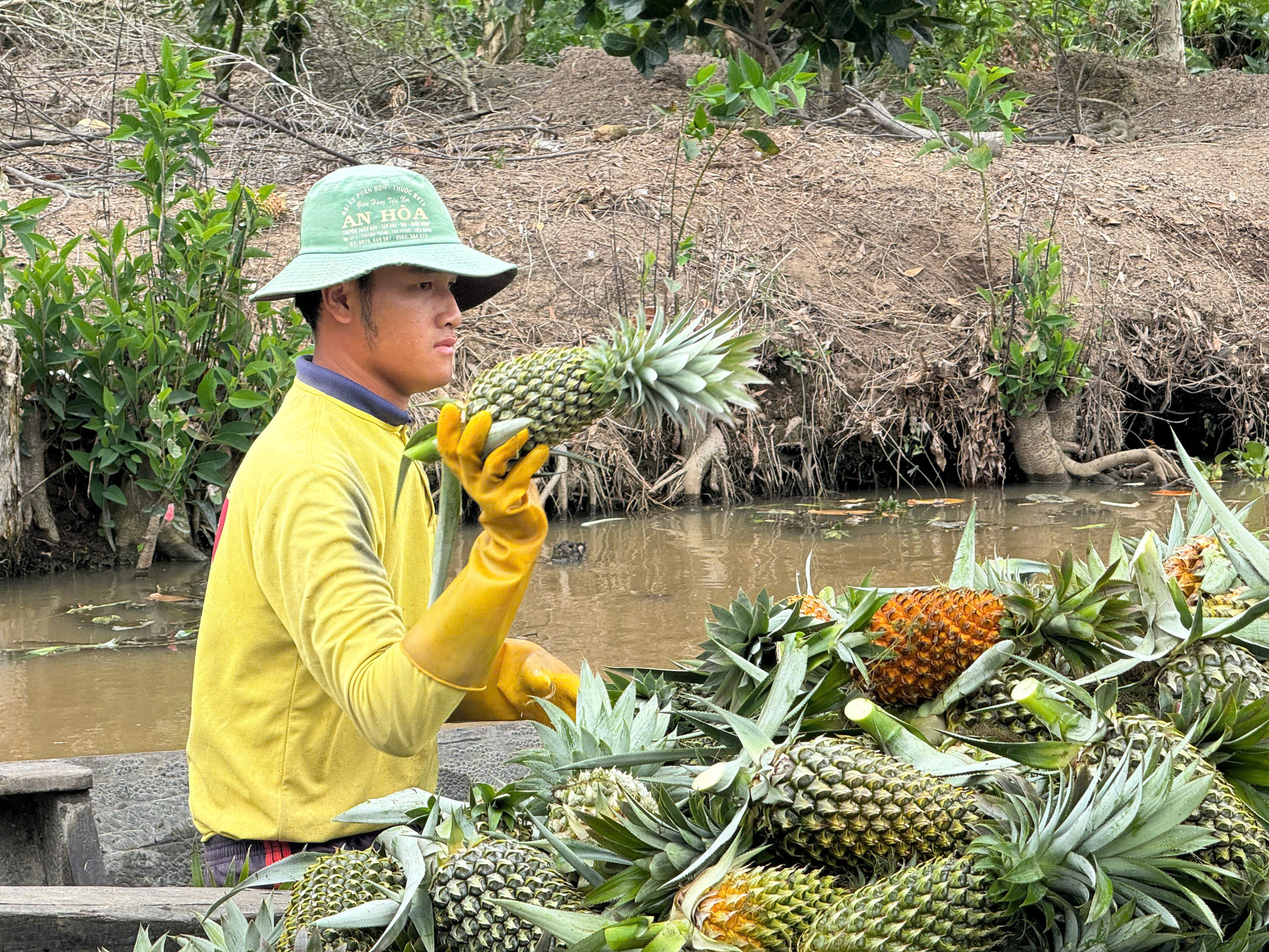 đồng tháp - Ảnh 4.