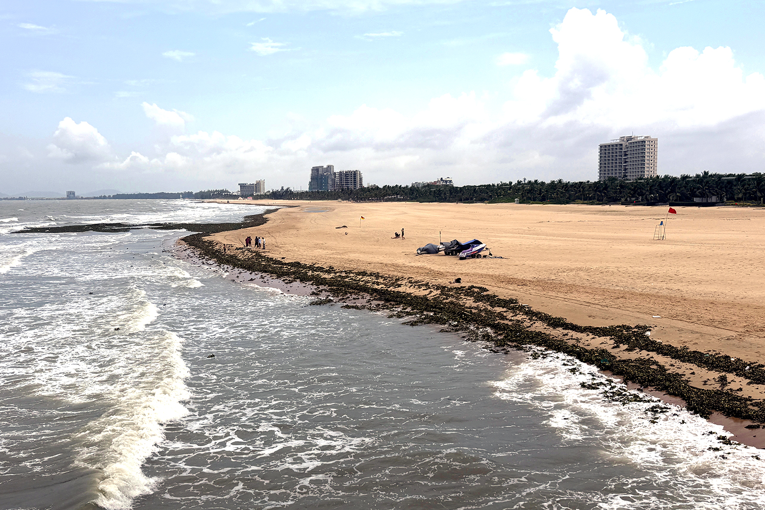 Gallery - Water hyacinths, marine debris overwhelm tourist beaches in Ho Chi Minh City