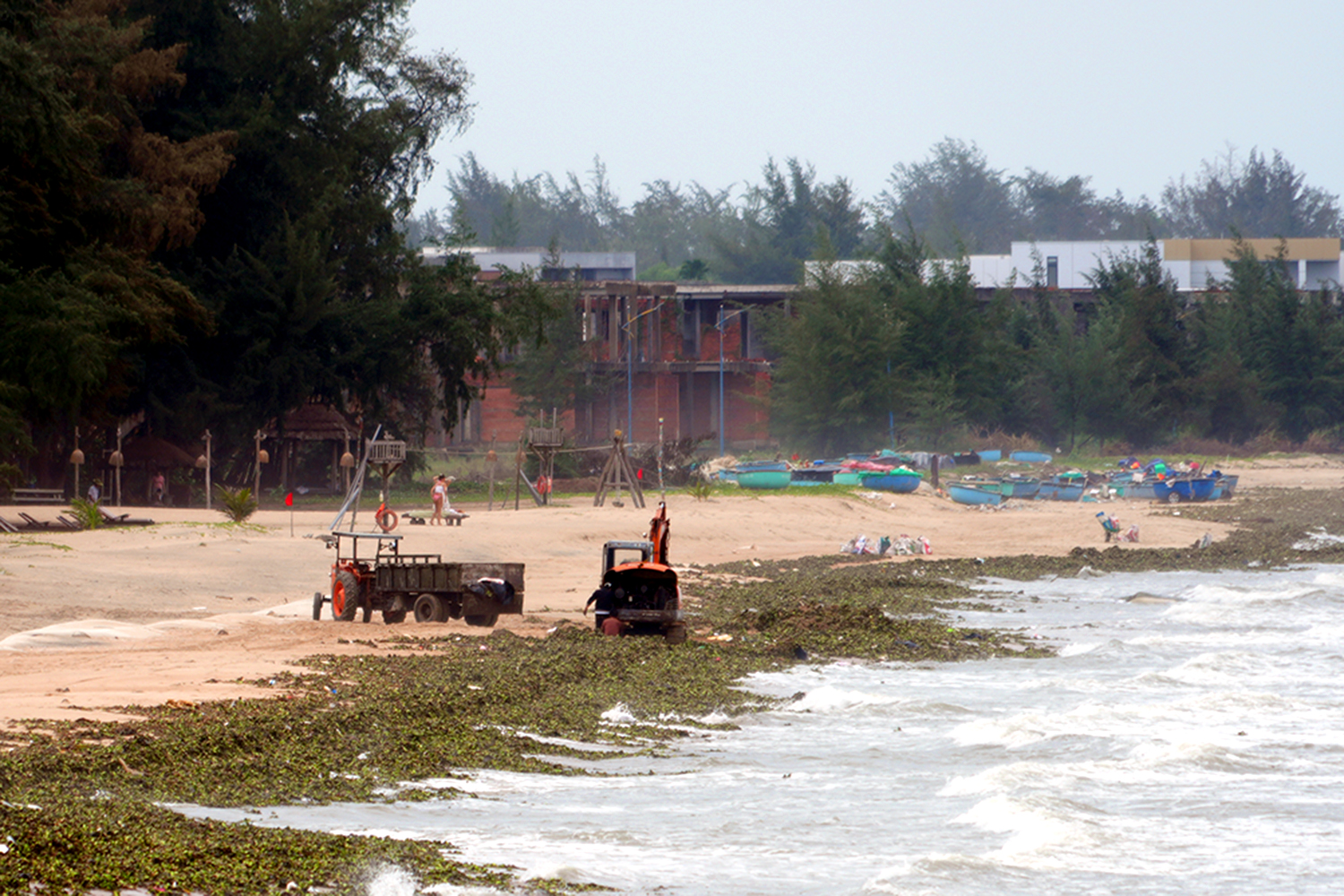 Gallery - Water hyacinths, marine debris overwhelm tourist beaches in Ho Chi Minh City - image 2