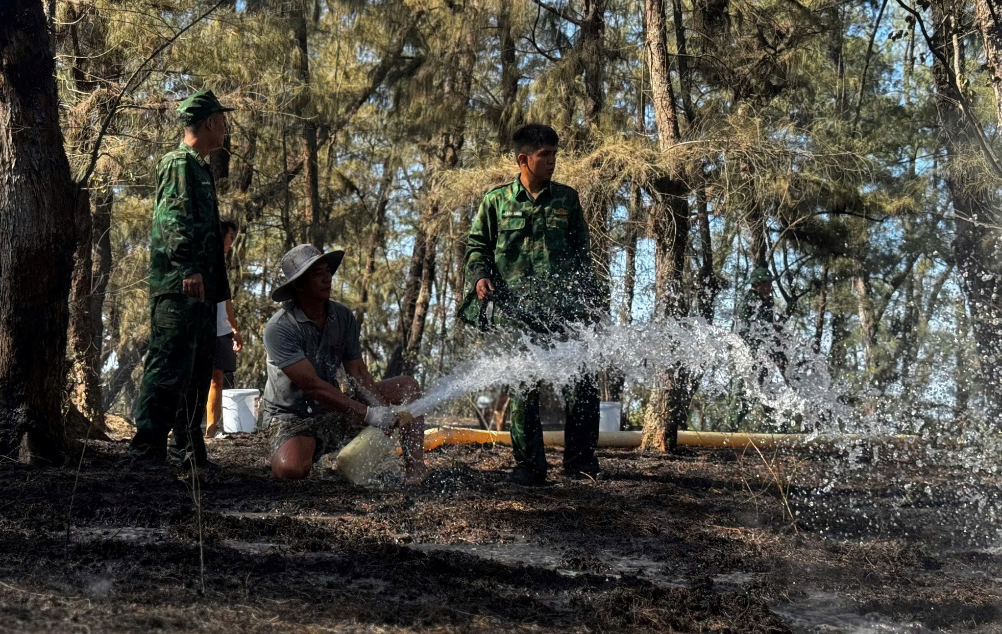 Cháy rừng phòng hộ ven biển lúc Quảng Ngãi nắng nóng đỉnh điểm - Ảnh 5.