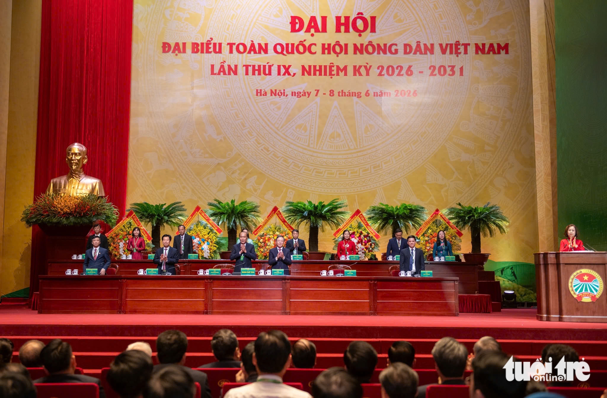 nông dân - Ảnh 12.