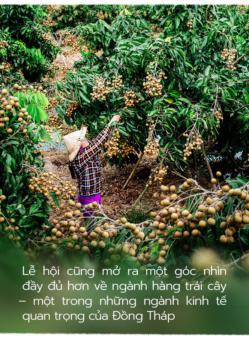 Trong nền kinh tế hàng hóa một trong những chức năng cơ bản của thị trường là chức năng nào?