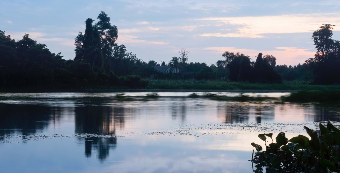 trưng bày - Ảnh 1.