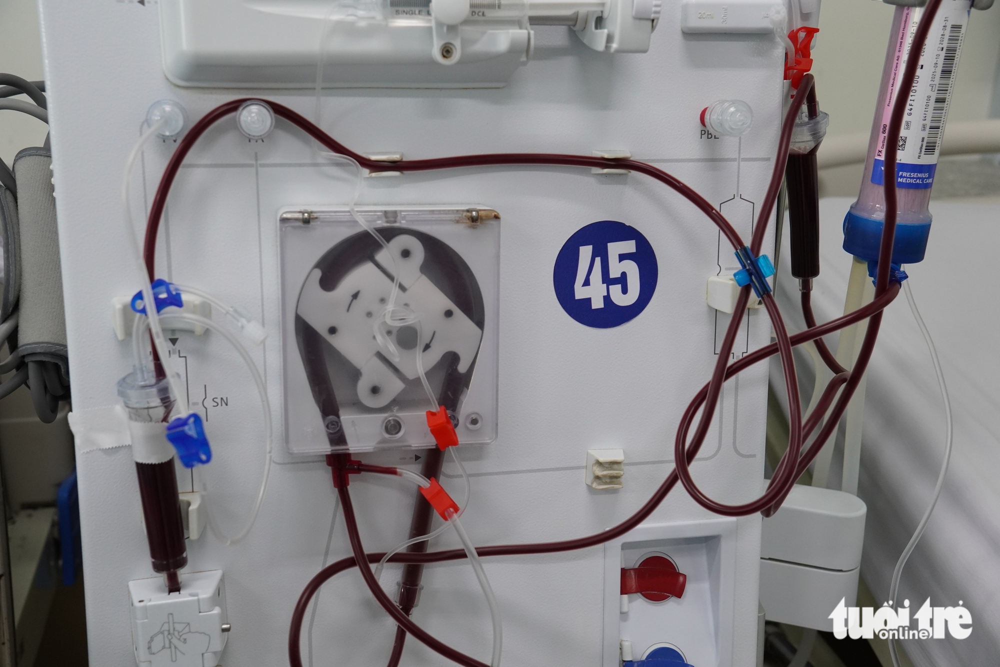 - Ảnh 3.