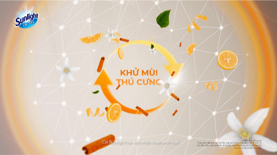 - Ảnh 4.