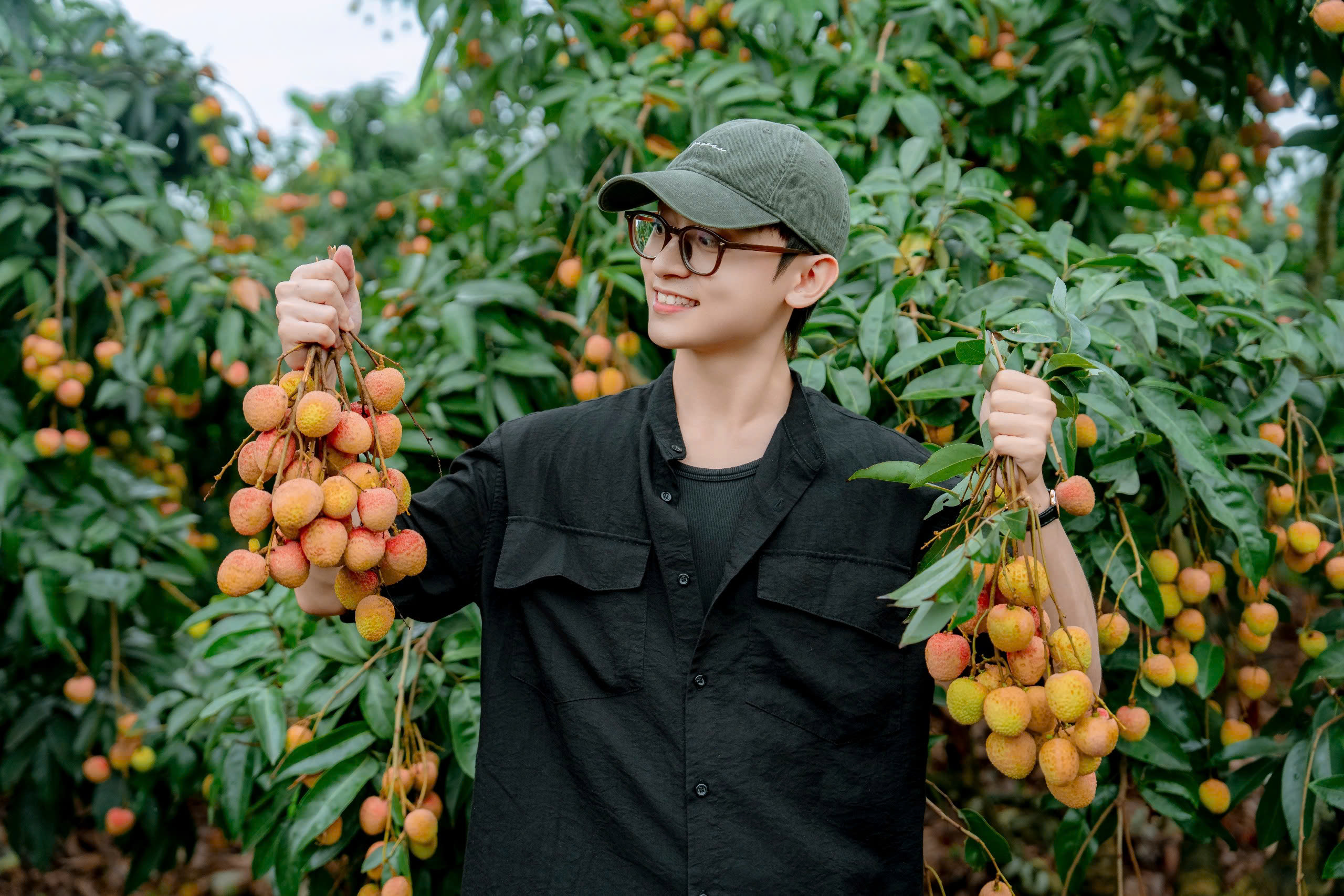 Vải thiều được mùa giá, doanh thu hơn 8.600 tỉ đồng - Ảnh 1.