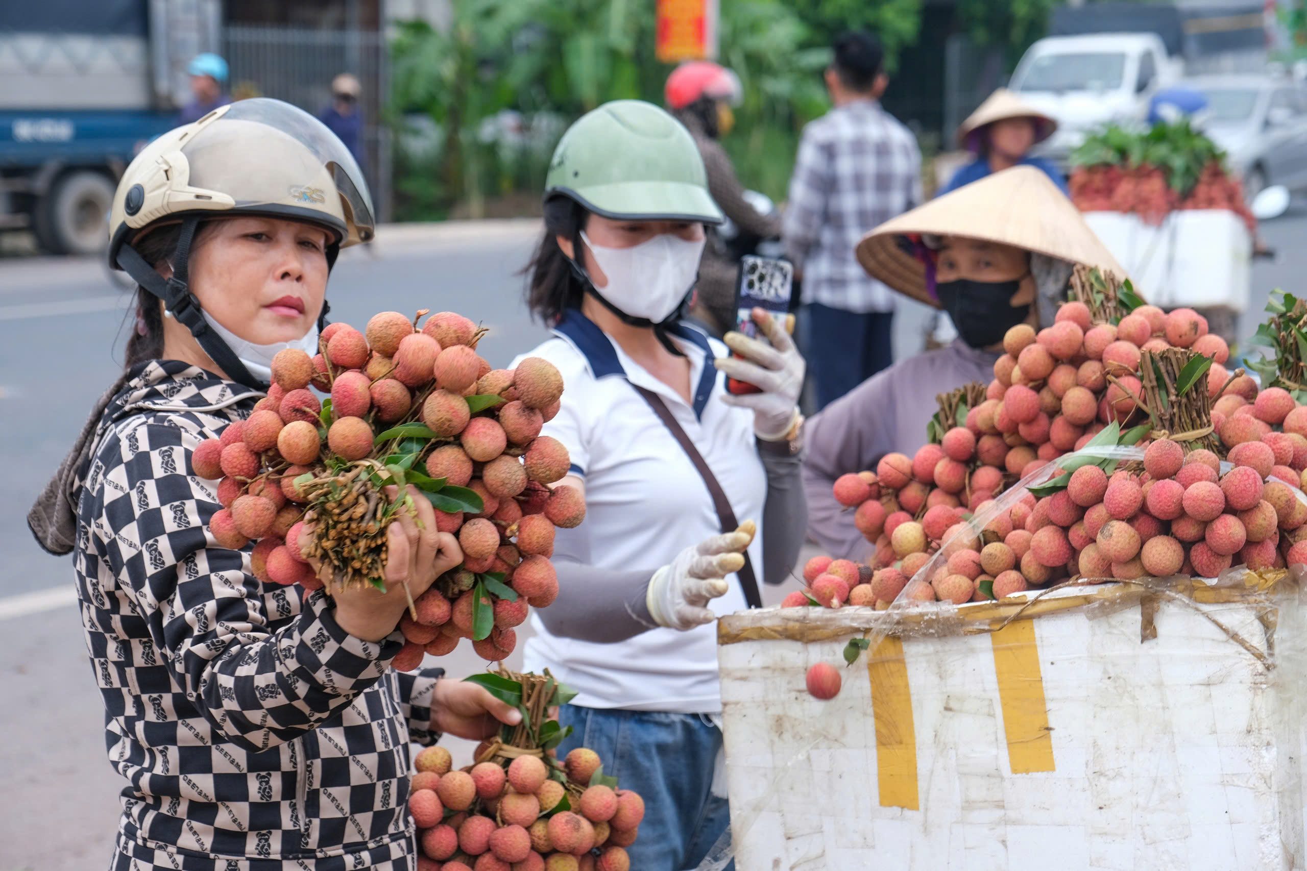Vải thiều được mùa giá, doanh thu hơn 8.600 tỉ đồng - Ảnh 2.